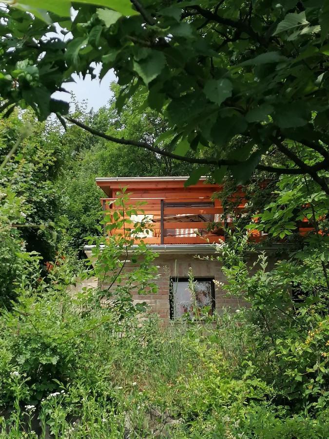 Barkoca Es Szepkilatas Vendeghaz / Cabin Kismaros Ngoại thất bức ảnh